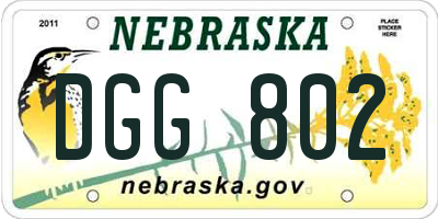 NE license plate DGG802