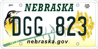 NE license plate DGG823
