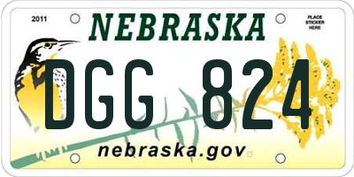 NE license plate DGG824