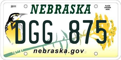 NE license plate DGG875