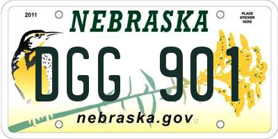 NE license plate DGG901
