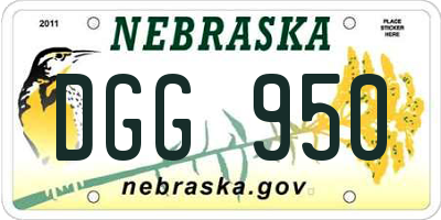 NE license plate DGG950