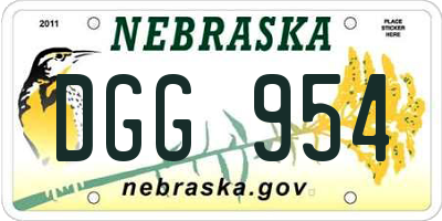 NE license plate DGG954