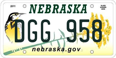 NE license plate DGG958