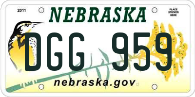 NE license plate DGG959