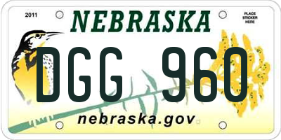 NE license plate DGG960