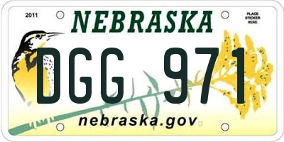 NE license plate DGG971