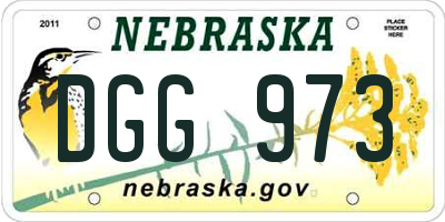 NE license plate DGG973