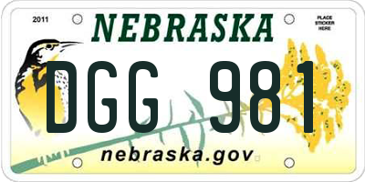 NE license plate DGG981