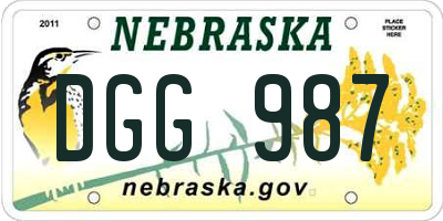 NE license plate DGG987