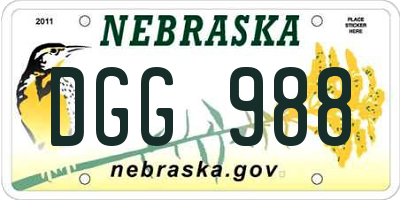 NE license plate DGG988