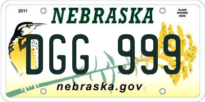 NE license plate DGG999