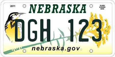 NE license plate DGH123