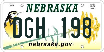 NE license plate DGH198