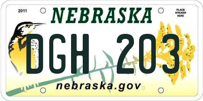 NE license plate DGH203