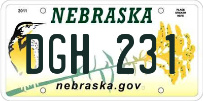 NE license plate DGH231