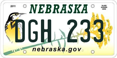 NE license plate DGH233