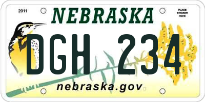 NE license plate DGH234