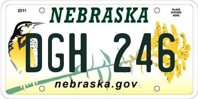 NE license plate DGH246