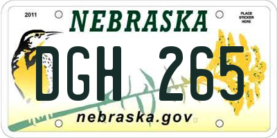 NE license plate DGH265