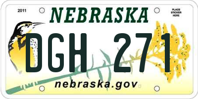 NE license plate DGH271