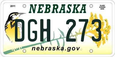 NE license plate DGH273