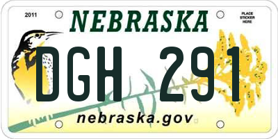 NE license plate DGH291