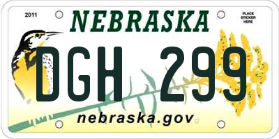 NE license plate DGH299