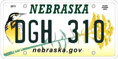 NE license plate DGH310