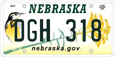 NE license plate DGH318