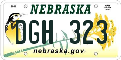 NE license plate DGH323