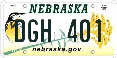 NE license plate DGH401