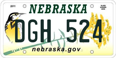 NE license plate DGH524