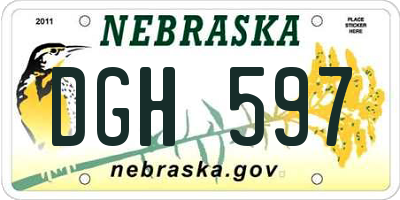 NE license plate DGH597