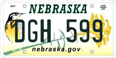 NE license plate DGH599