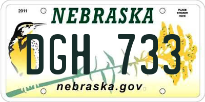 NE license plate DGH733