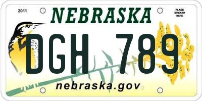 NE license plate DGH789