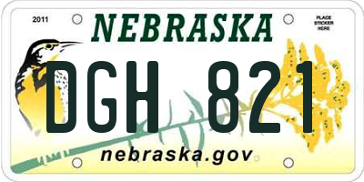NE license plate DGH821