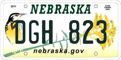 NE license plate DGH823