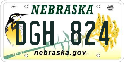 NE license plate DGH824