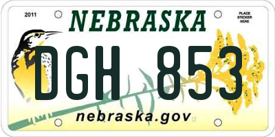 NE license plate DGH853