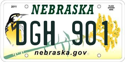 NE license plate DGH901