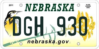 NE license plate DGH930