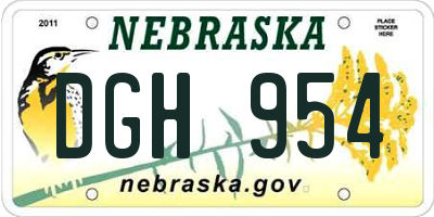 NE license plate DGH954