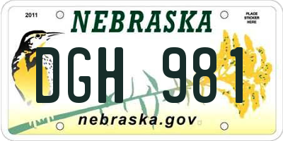 NE license plate DGH981