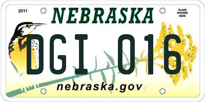 NE license plate DGI016