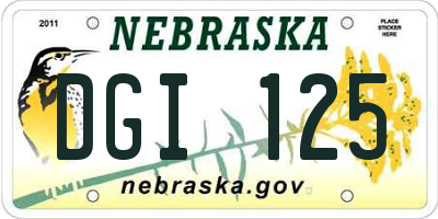 NE license plate DGI125