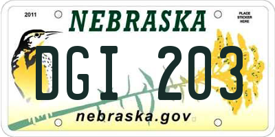 NE license plate DGI203