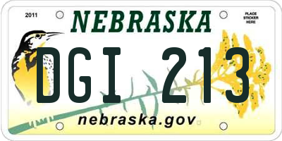 NE license plate DGI213