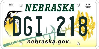 NE license plate DGI218
